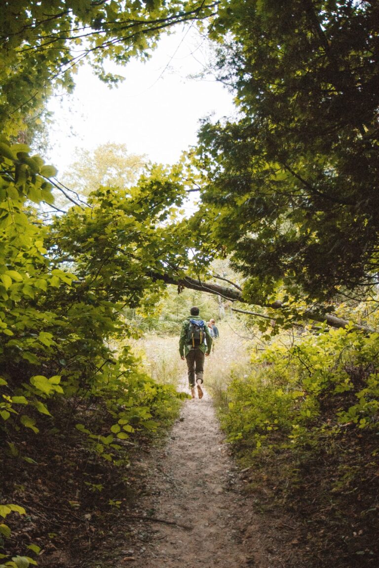 Wanderung auf dem Nordpfad „Kempowkis Idylle“ am Sonntag, den 28.09.2025